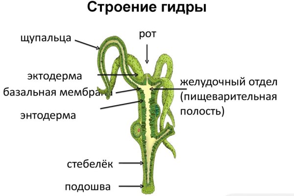 Даркнет купить зелья