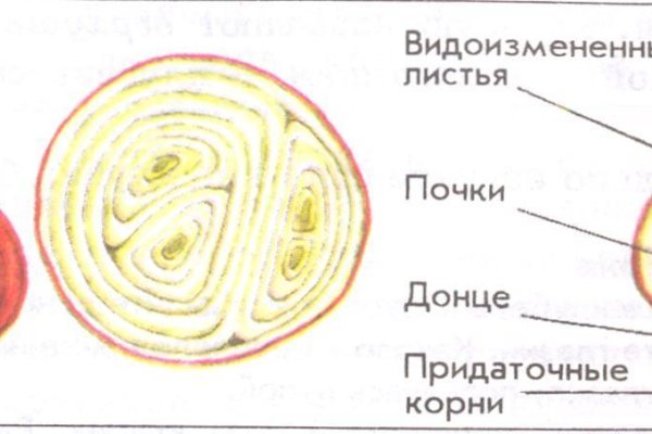 Как загрузить фото на мегу через андроид