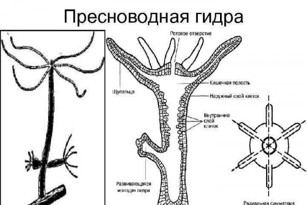 Как зайти на мегу без тора