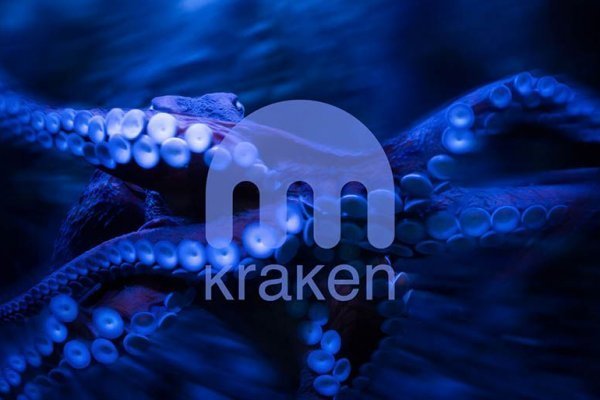 Кракен онион ссылка тор kraken6.at kraken7.at kraken8.at