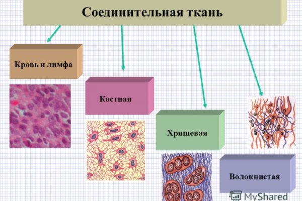 Mega ссылка тор